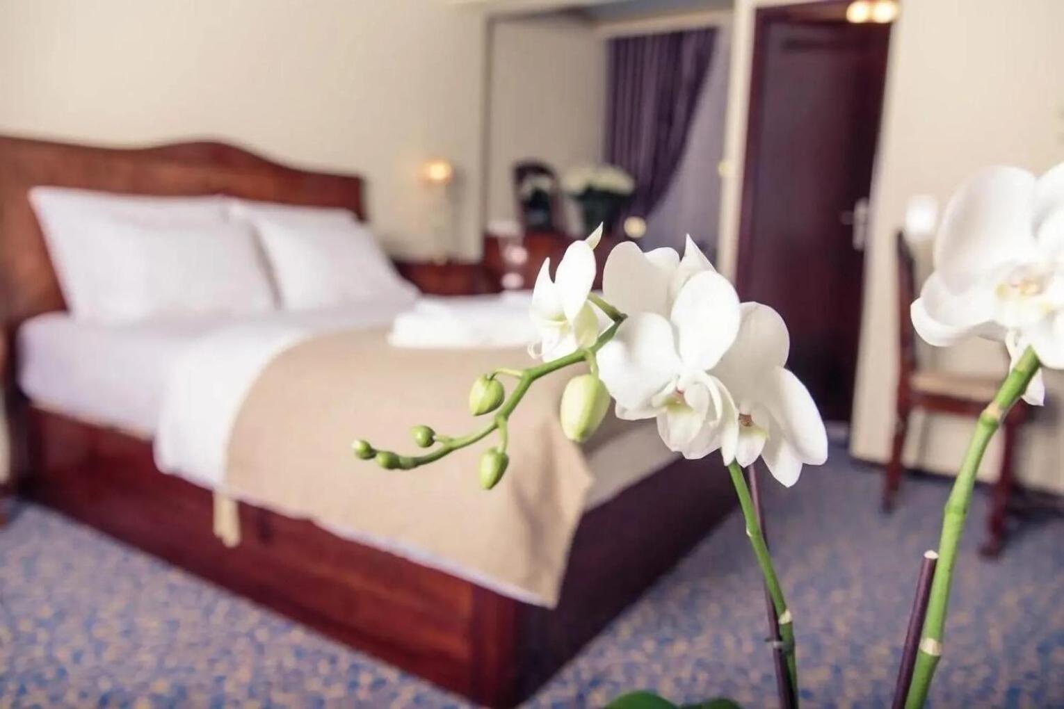 Hotel Stern Lauterbach  Ngoại thất bức ảnh